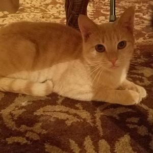 Meet your Posher, Cathay